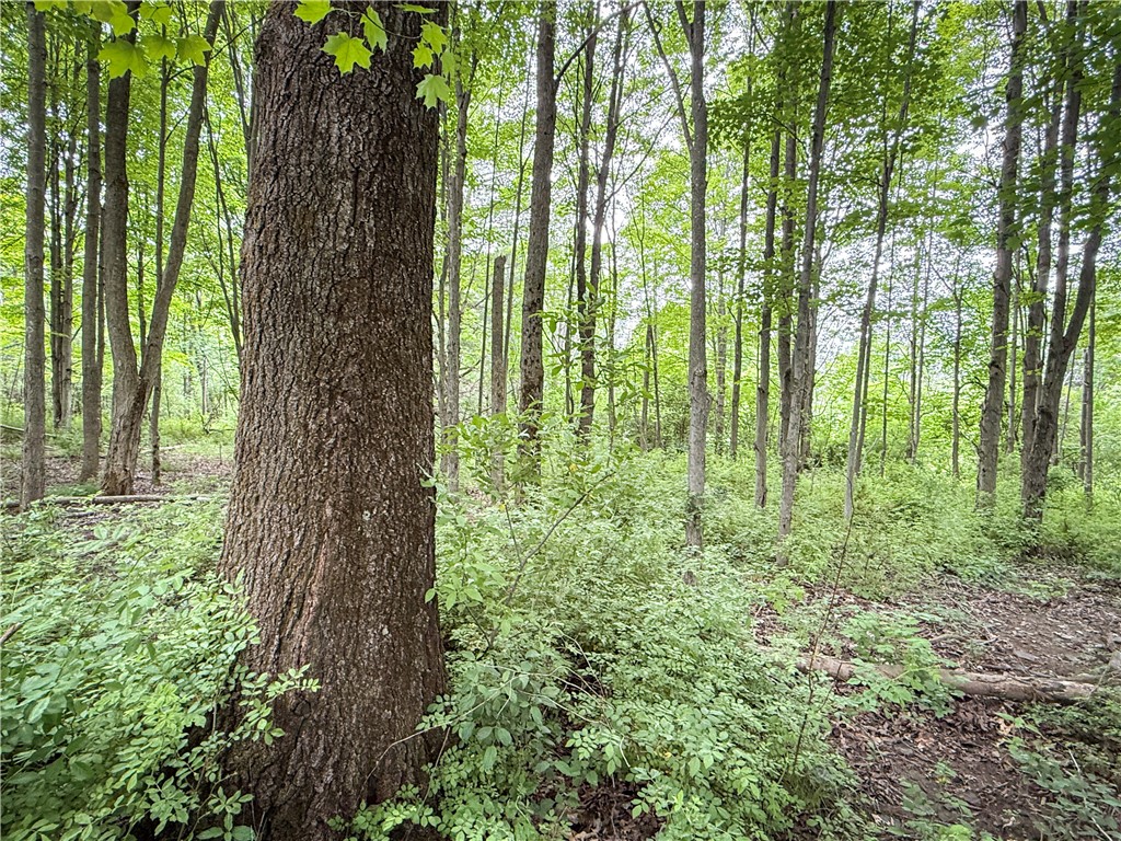 5401 Old Bath Road Barrington, NY 14837 - Photo 35 of 50