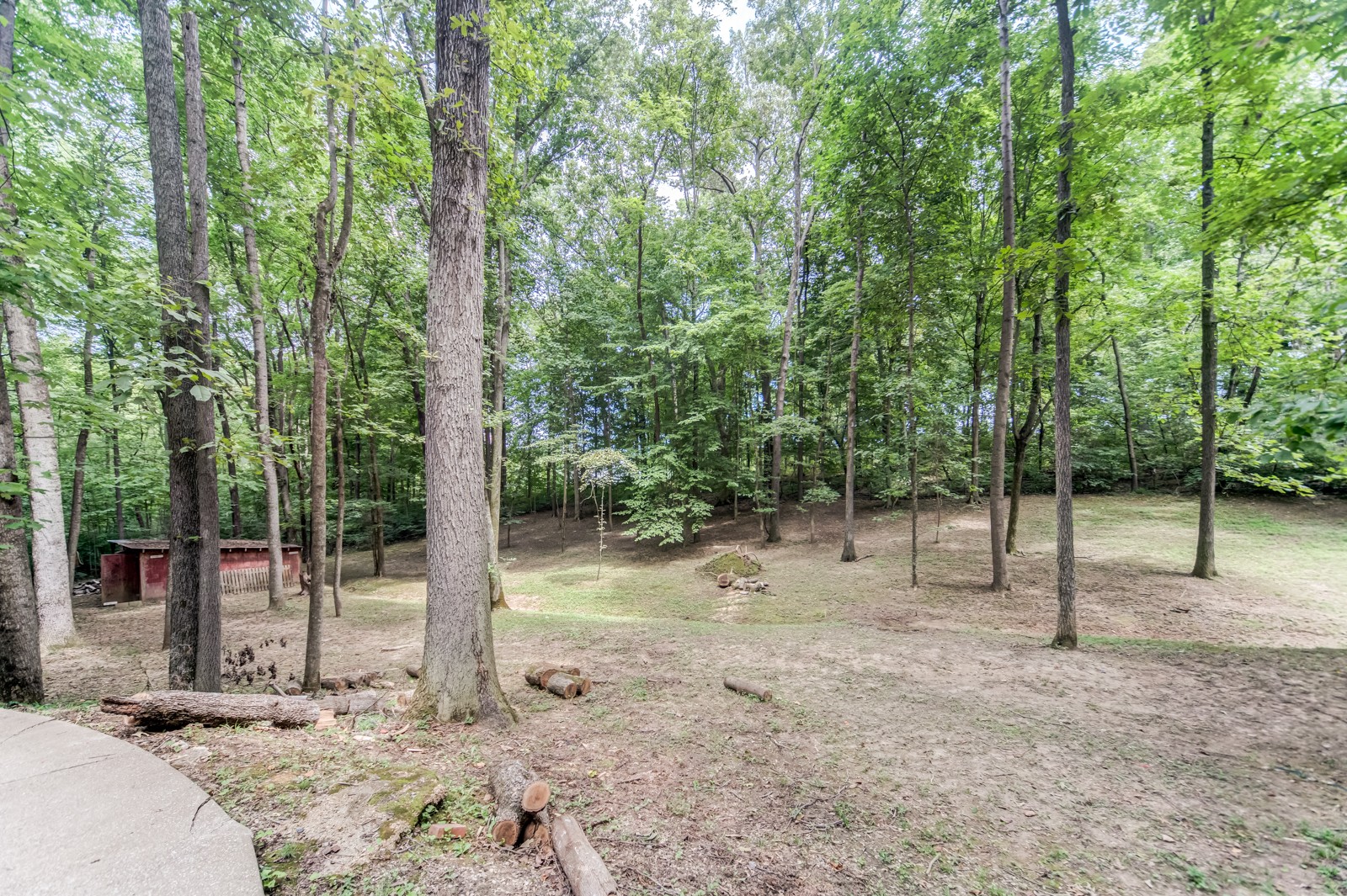 3733 Oakland Road Springfield, TN 37172 - Photo 42 of 43 a backyard of a house with lots of trees