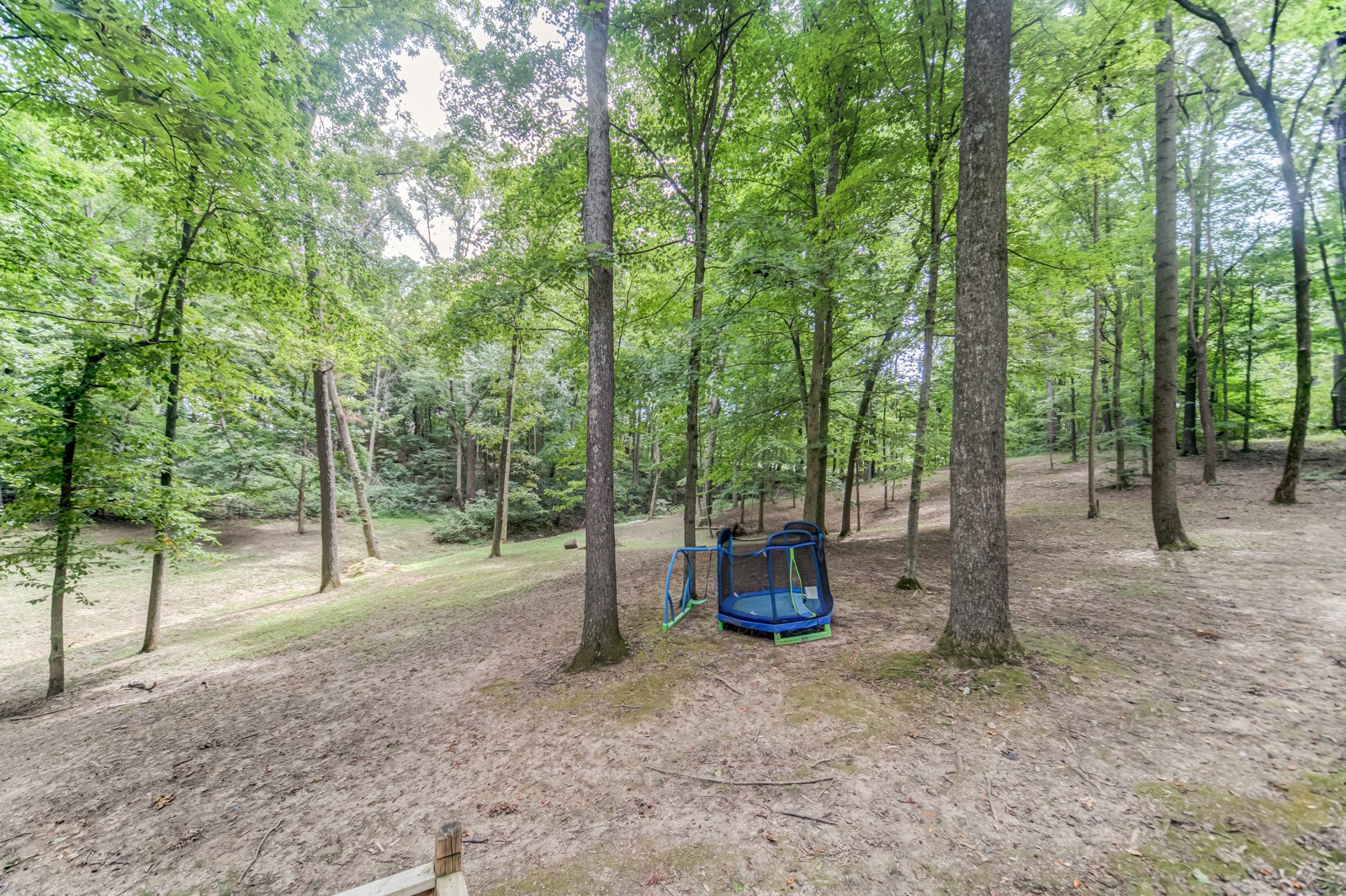 3733 Oakland Road Springfield, TN 37172 - Photo 43 of 43 a view of outdoor space and garden