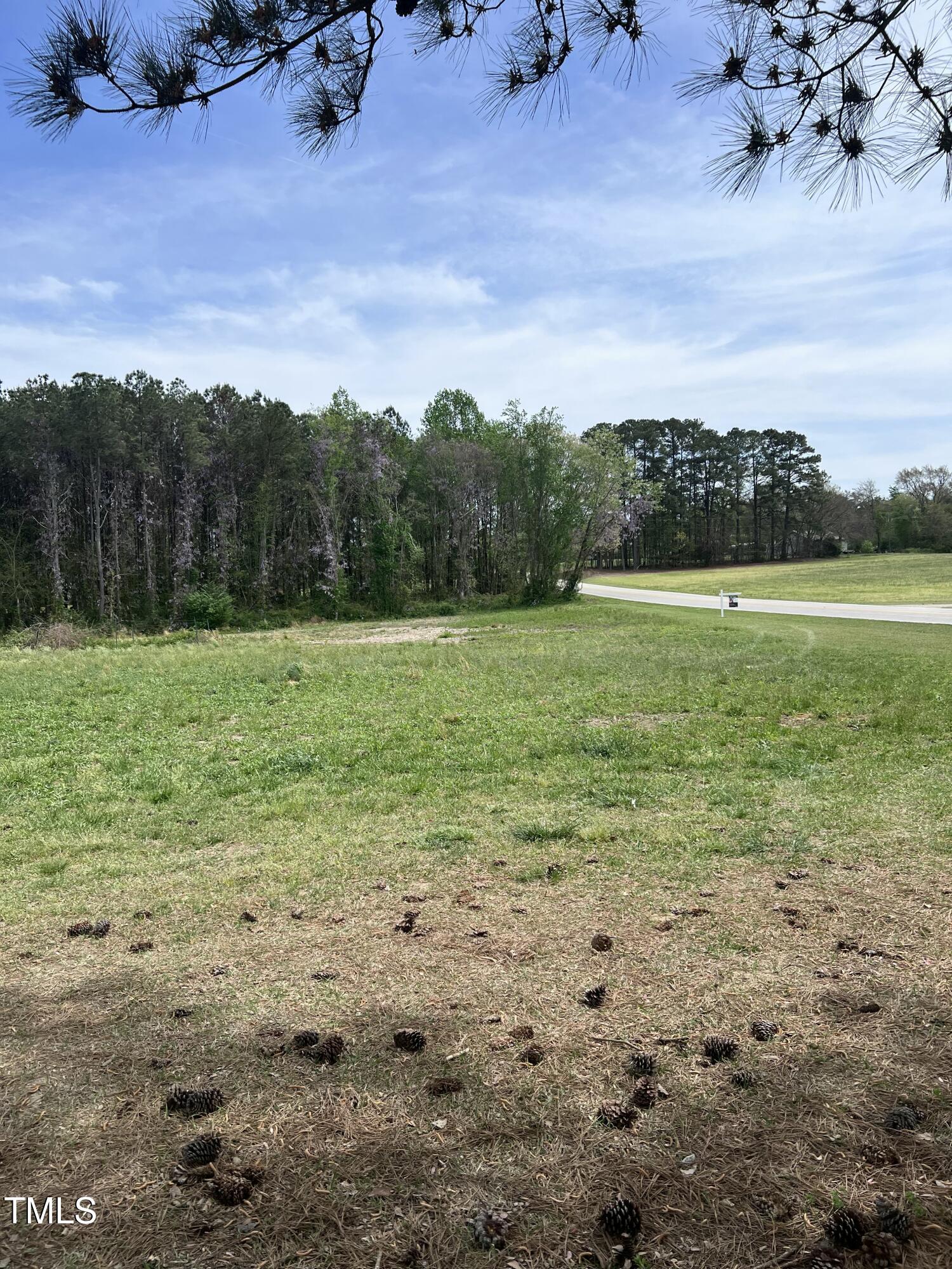 307 Wilson-Fuller Road Louisburg, NC 27549 - Photo 6 of 11 Gallery Image 6