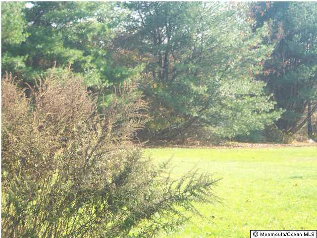 95 North County Line Road Jackson, NJ 08527 - Photo 2 of 2 a view of yard with ocean view