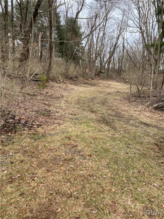 813 Interchange Road Kunkletown, PA 18058 - Photo 36 of 38 a view of a yard with a trees