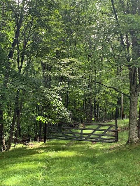 1244 Elbinsville Road Artemas, PA 17211 - Photo 27 of 34 Gallery Image 27
