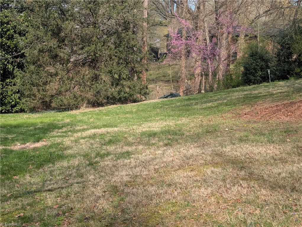 4661 Kinnamon Road Winston-Salem, NC 27103 - Photo 3 of 26
