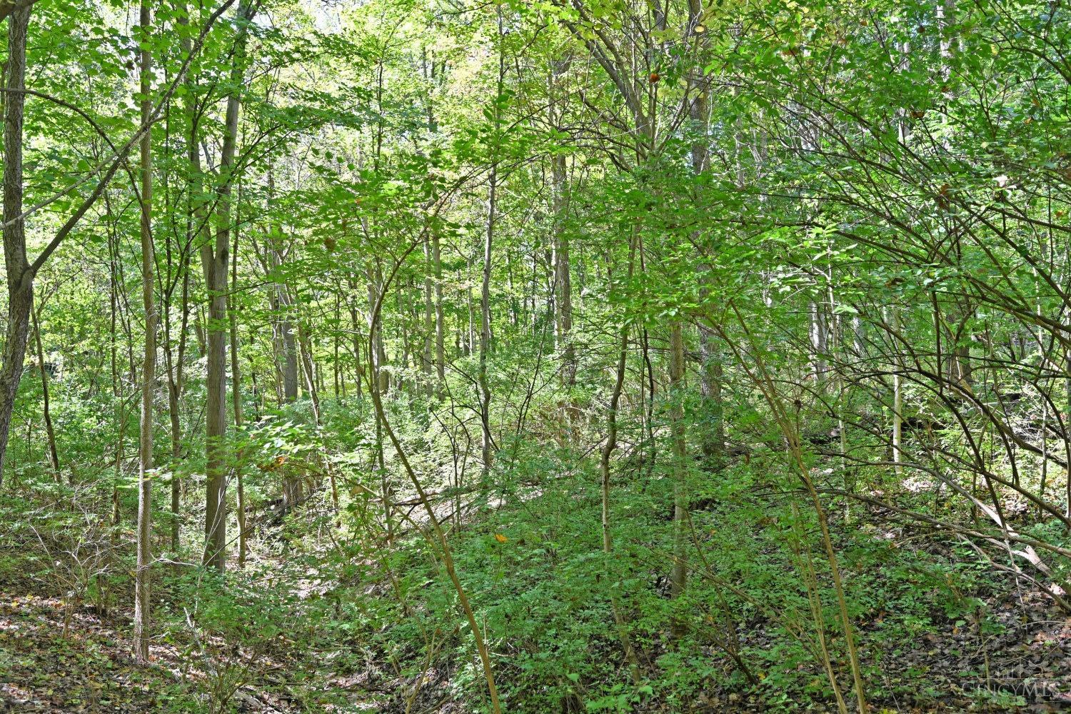 3301 Mt Carmel Road Cincinnati, OH 45244 - Photo 15 of 30