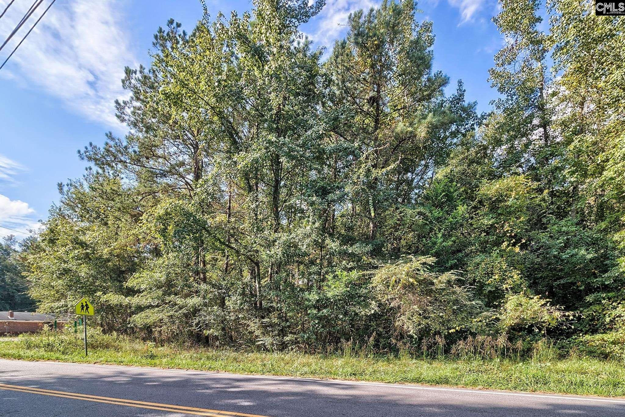 0 Sumpter Road Hopkins, SC 29061 - Photo 1 of 10 Gallery Image 1