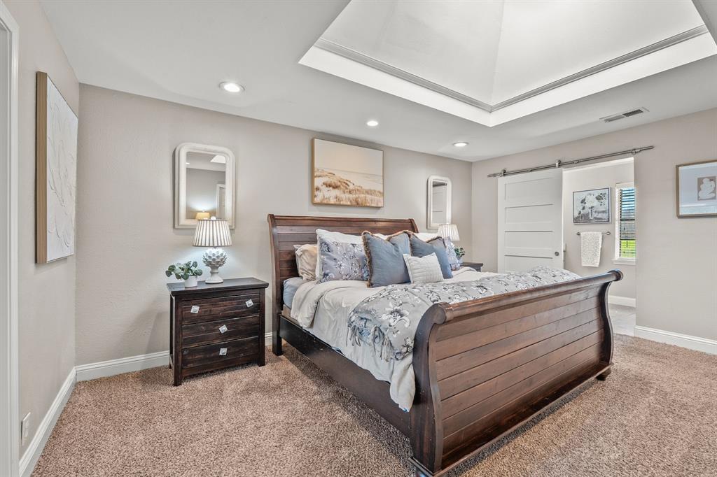 1673 Roadrunner Road Anna, TX 75409 - Photo 31 of 40 Primary bedroom with large skylight