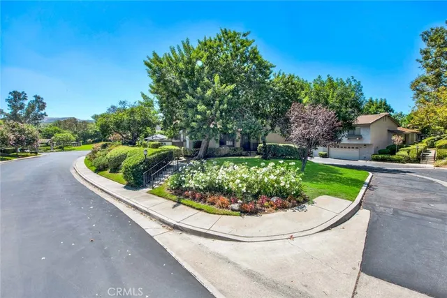 a view of a garden with plants