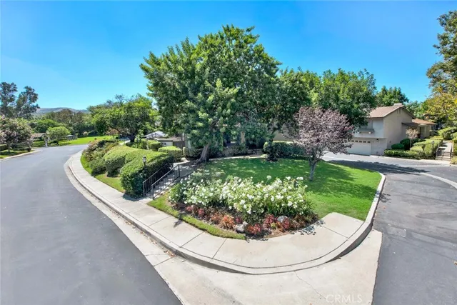 a view of a garden with plants and large trees