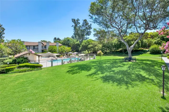 a view of a park with a tree