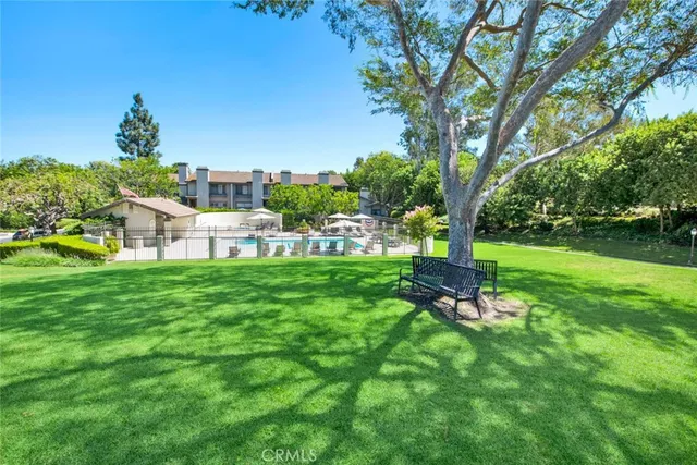 a view of a garden with lawn chairs and a large tree