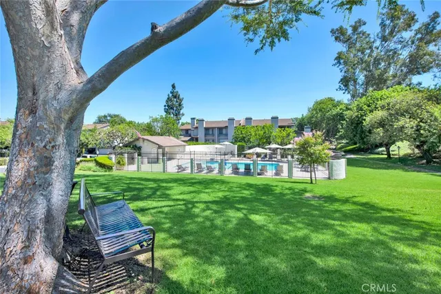 a view of a park with large trees
