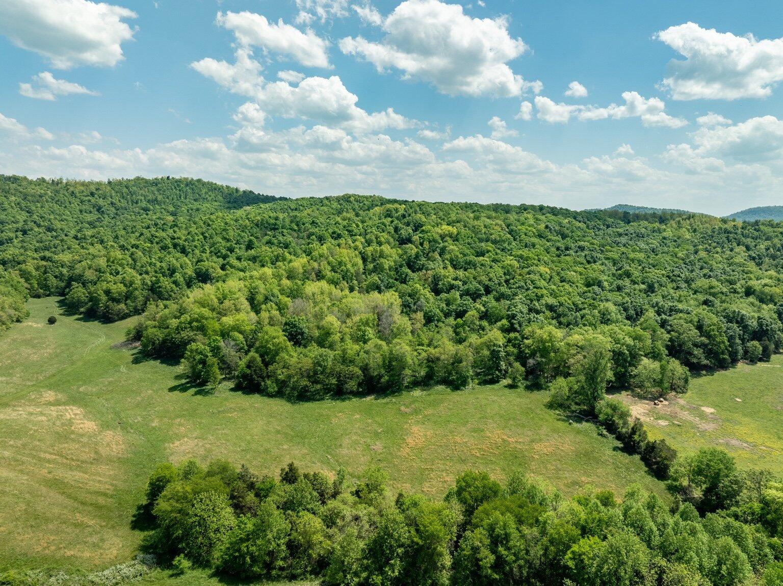 2 Simpson Hollow Road, Unit 1 Monticello, KY 42633 - Photo 5 of 19 IMG_2442