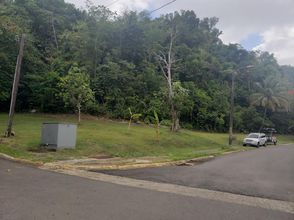 a view of a street with a park
