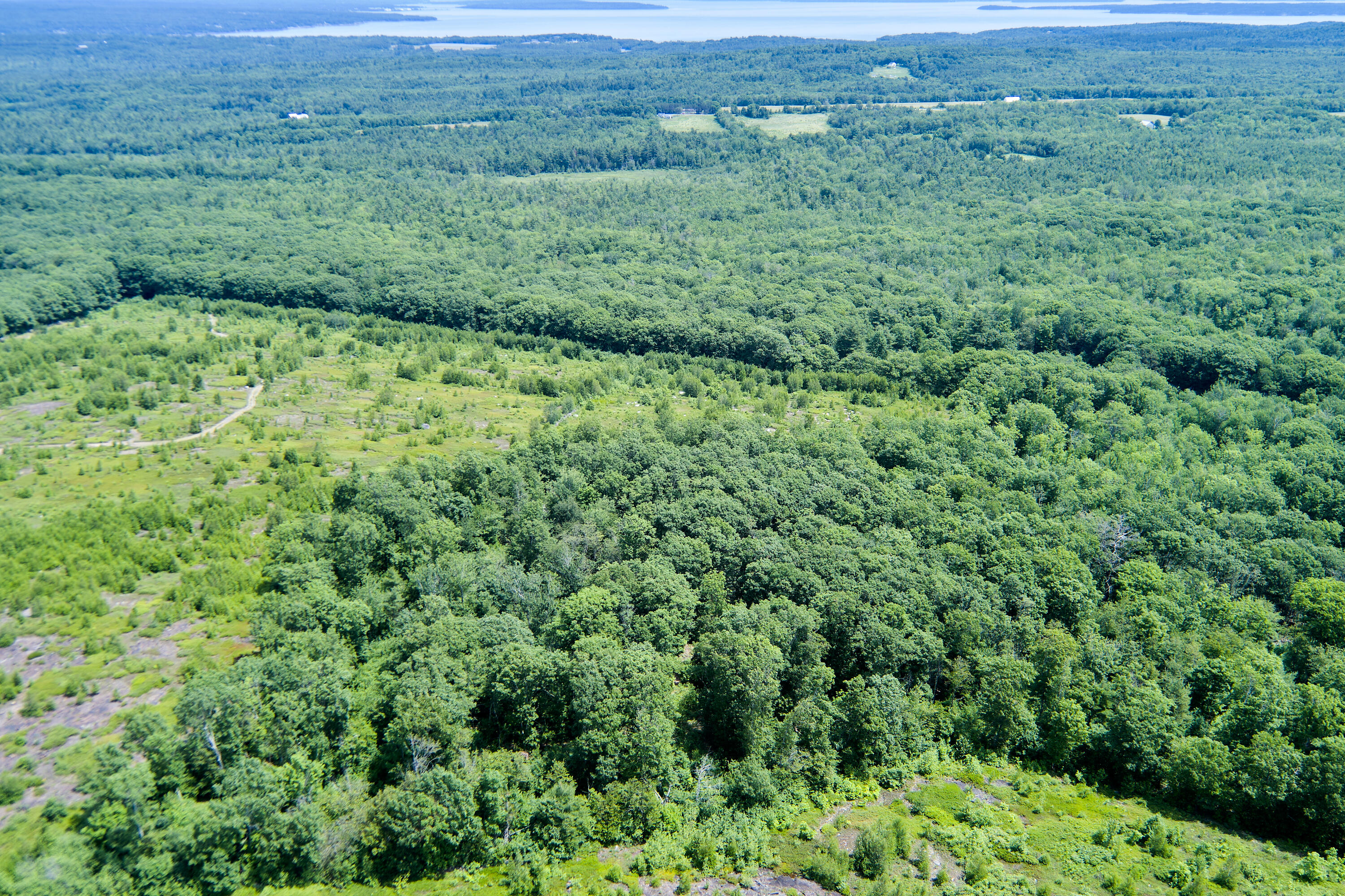 0 Armstrong Road Belfast, ME 04915 - Photo 5 of 43 Easterly view of the property