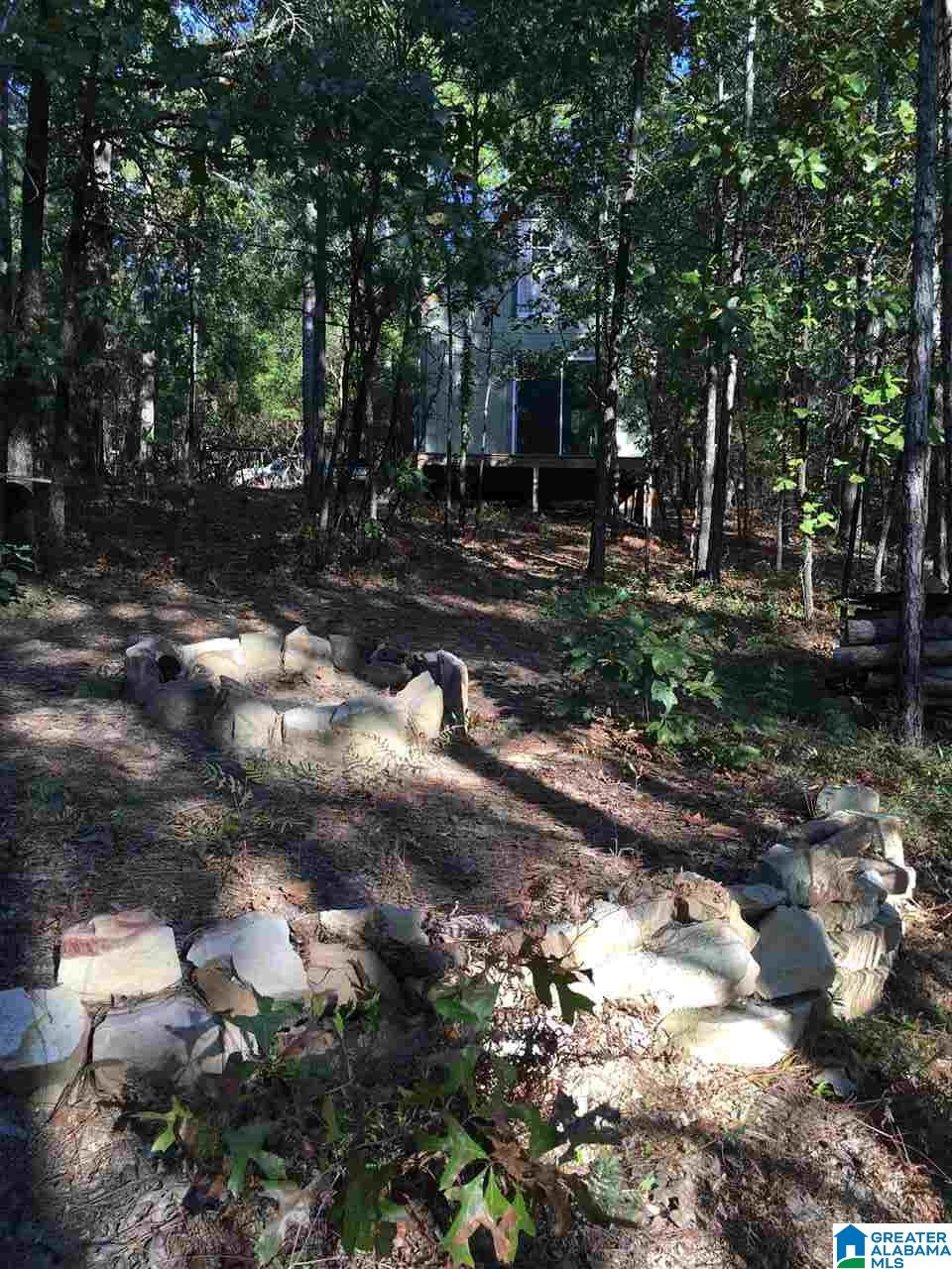 22.49-acres Double Branch Road, Unit 22 49 ACRES Marion, AL 36756 - Photo 11 of 30