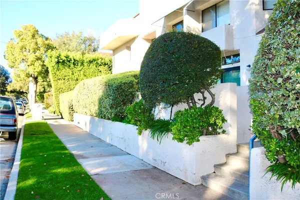a view of a garden with potted plants