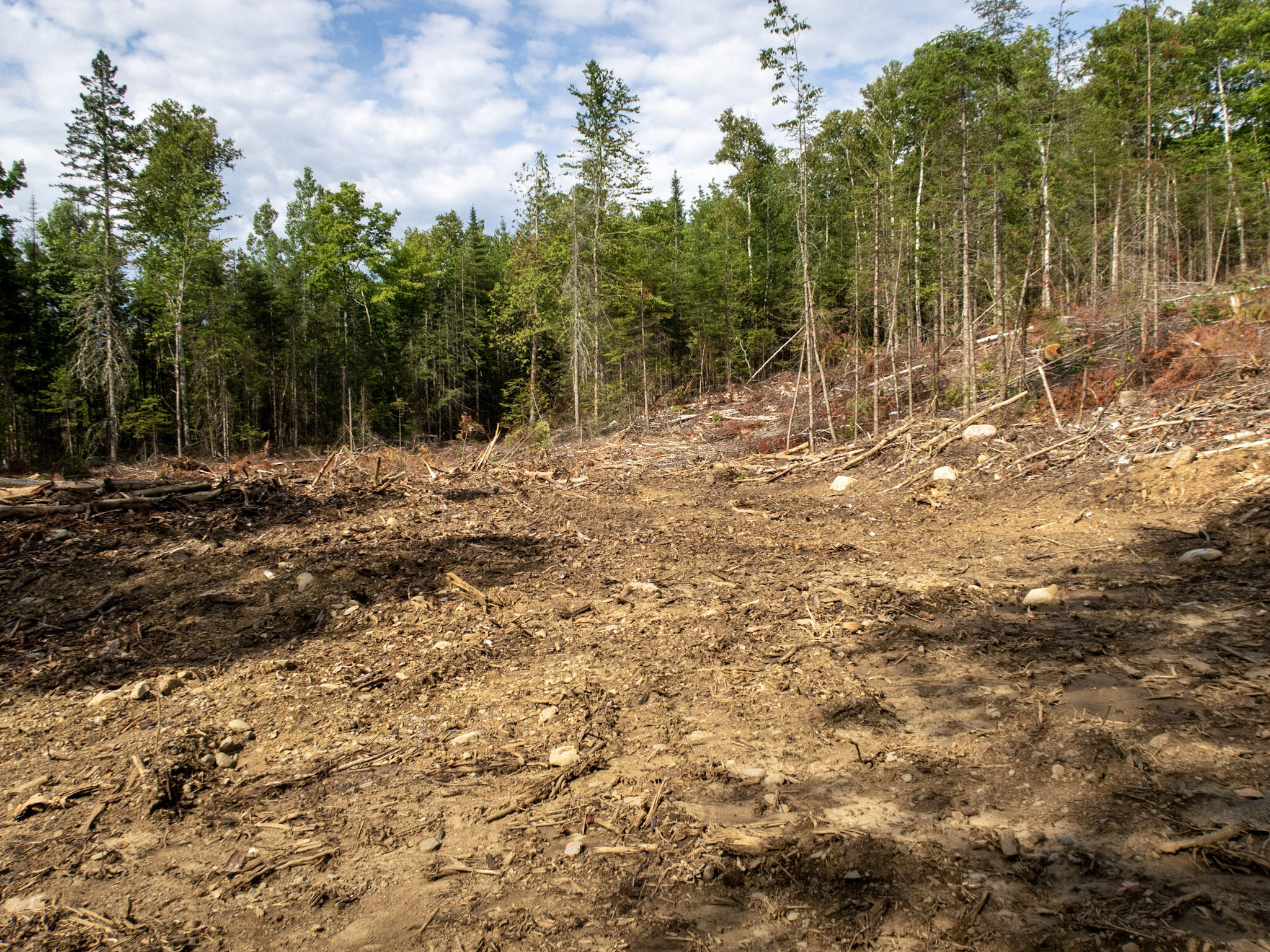 163 East Gulch Road Thorndike, ME 04986 - Photo 12 of 19 IMG_2175