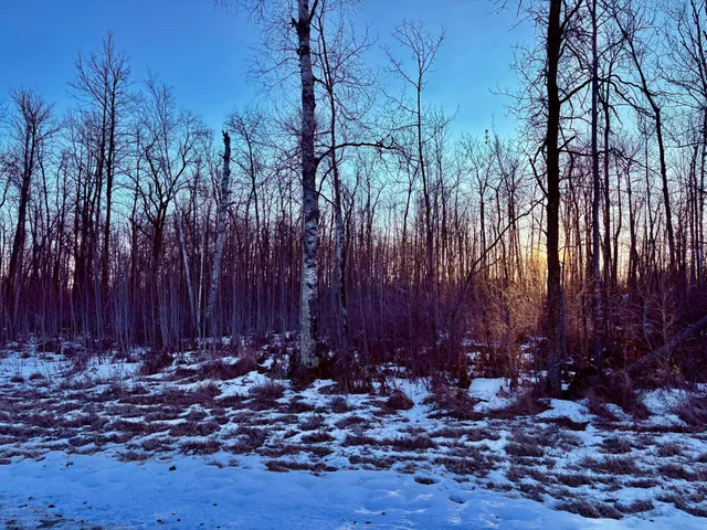 $148,000 | Lot 15 Hooper Creek Loop, Baudette, MN 56623