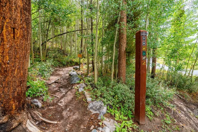 $5,500,000 | 94 Sunbeam Drive, Breckenridge, CO 80424