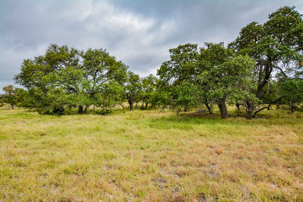 976 Kc 476 Harper, TX 78631 - Photo 32 of 33
