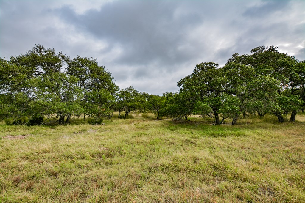 976 Kc 476 Harper, TX 78631 - Photo 33 of 33