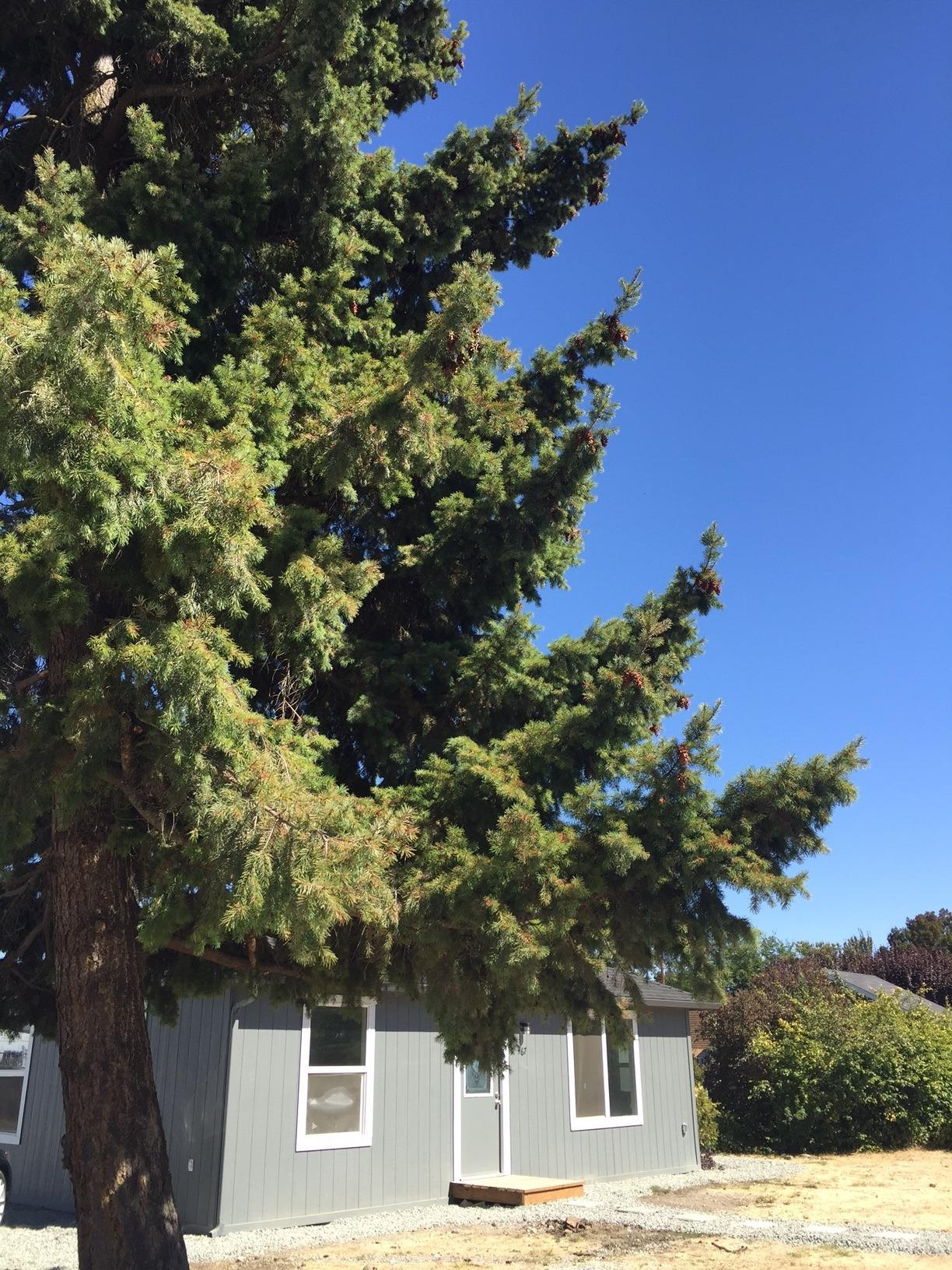 467 Hopkins Road Central Point, OR 97502 - Photo 24 of 24 Additional Photo
