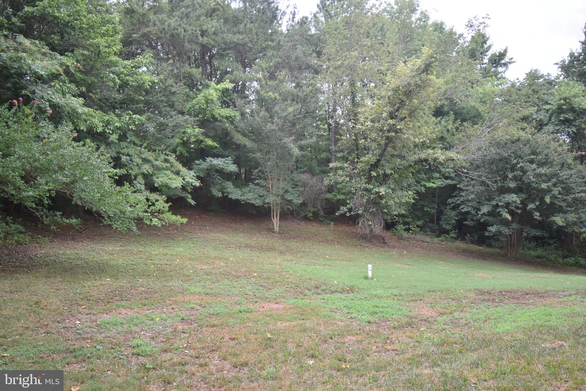 3838 Sixes Road Prince Frederick, MD 20678 - Photo 12 of 12 a view of outdoor space and yard