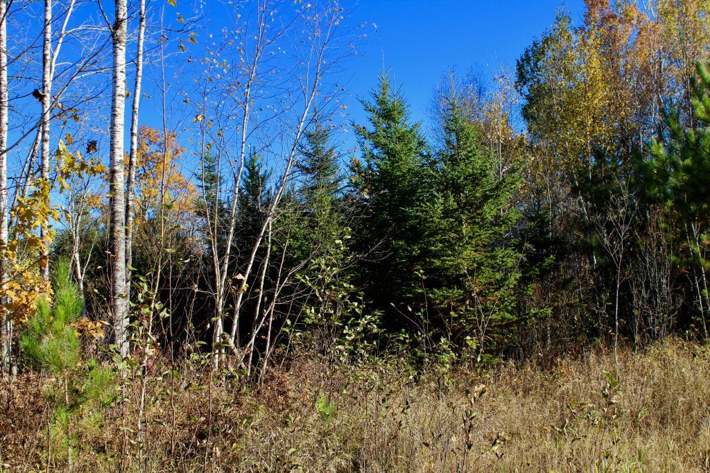 50550 Wildlife Road Sandstone, MN 55072 - Photo 1 of 1 Gallery Image 1