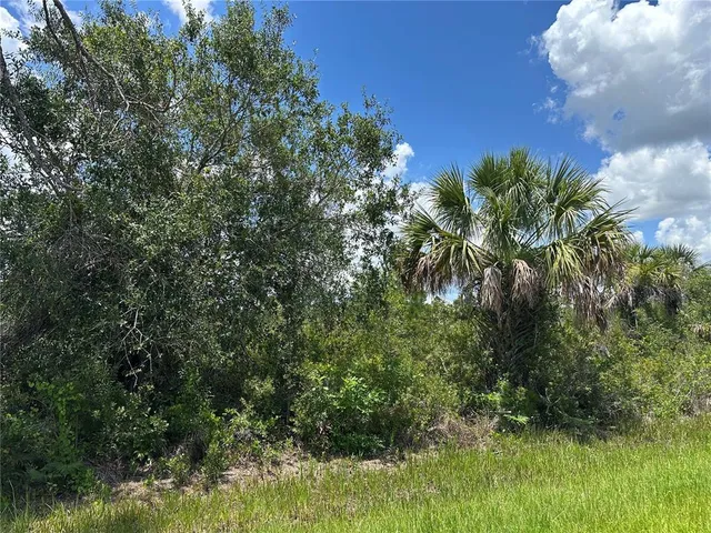 a close up of a flower in a garden