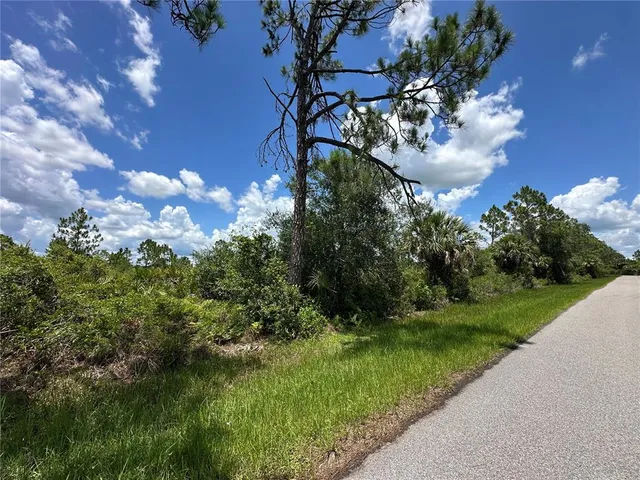 a view of lush green field
