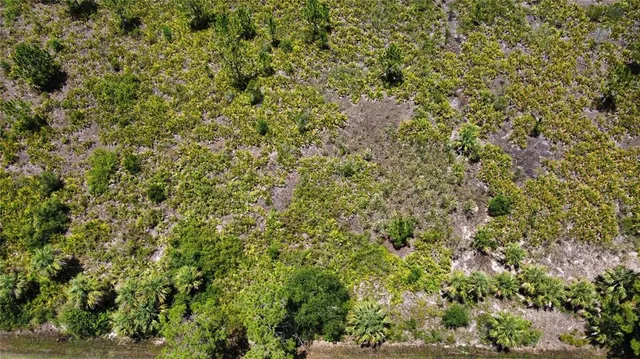 a view of a lush green field