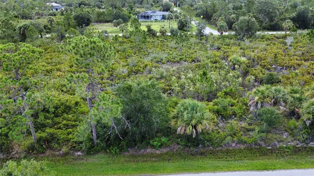 a view of a green yard with large trees