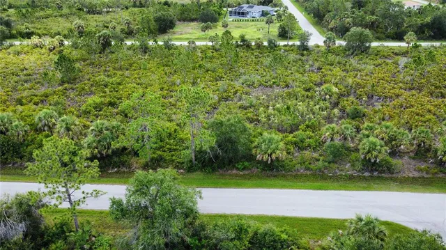 a view of a yard with plants and large trees