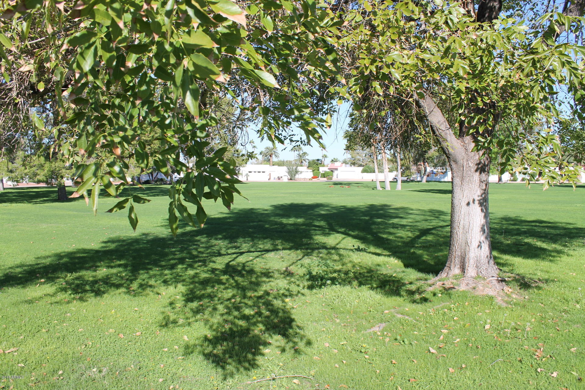 636 East Piping Rock Road Phoenix, AZ 85022 - Photo 31 of 33 Community Green Areas