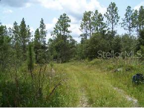 0 Tyler Road Trenton, FL 32693 - Photo 1 of 1