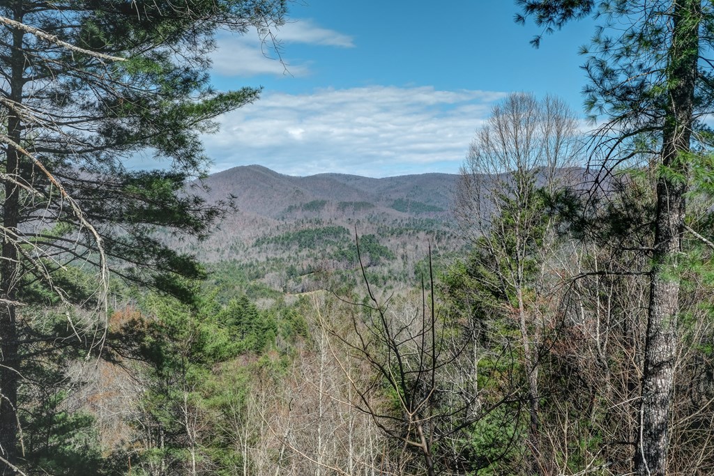 650 Top Horseshoe Ridge Murphy, NC 28906 - Photo 2 of 68 Gallery Image 2