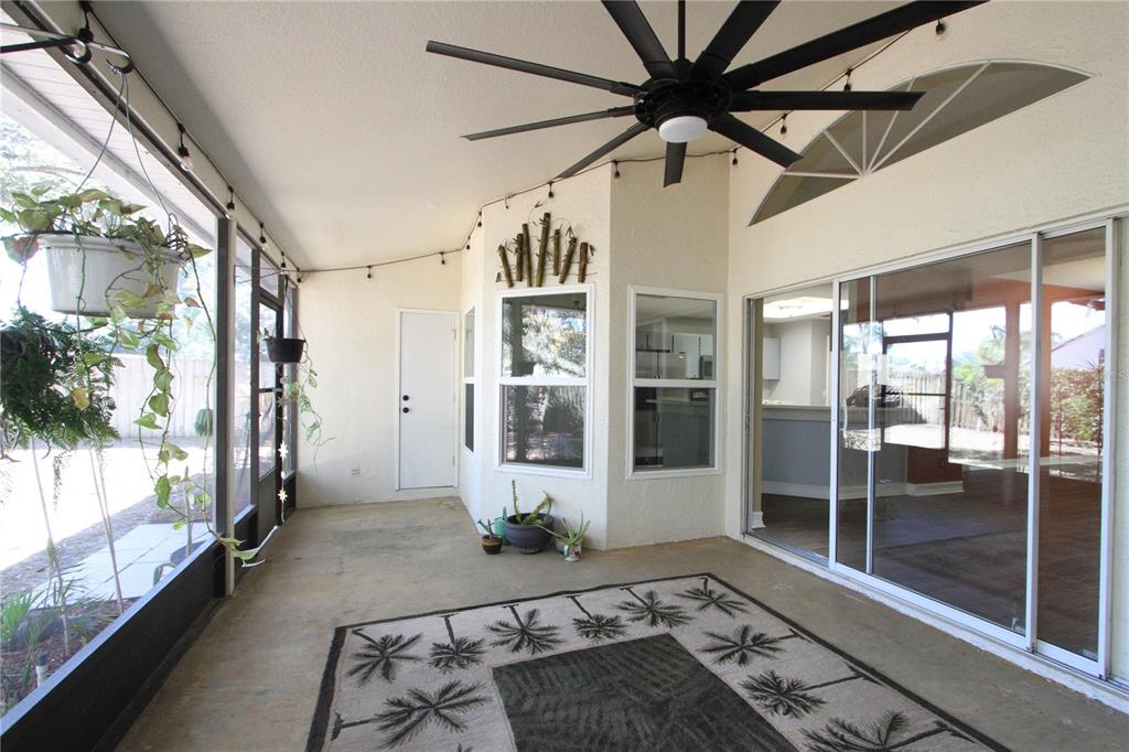 1414 Norwick Drive Lutz, FL 33559 - Photo 33 of 43