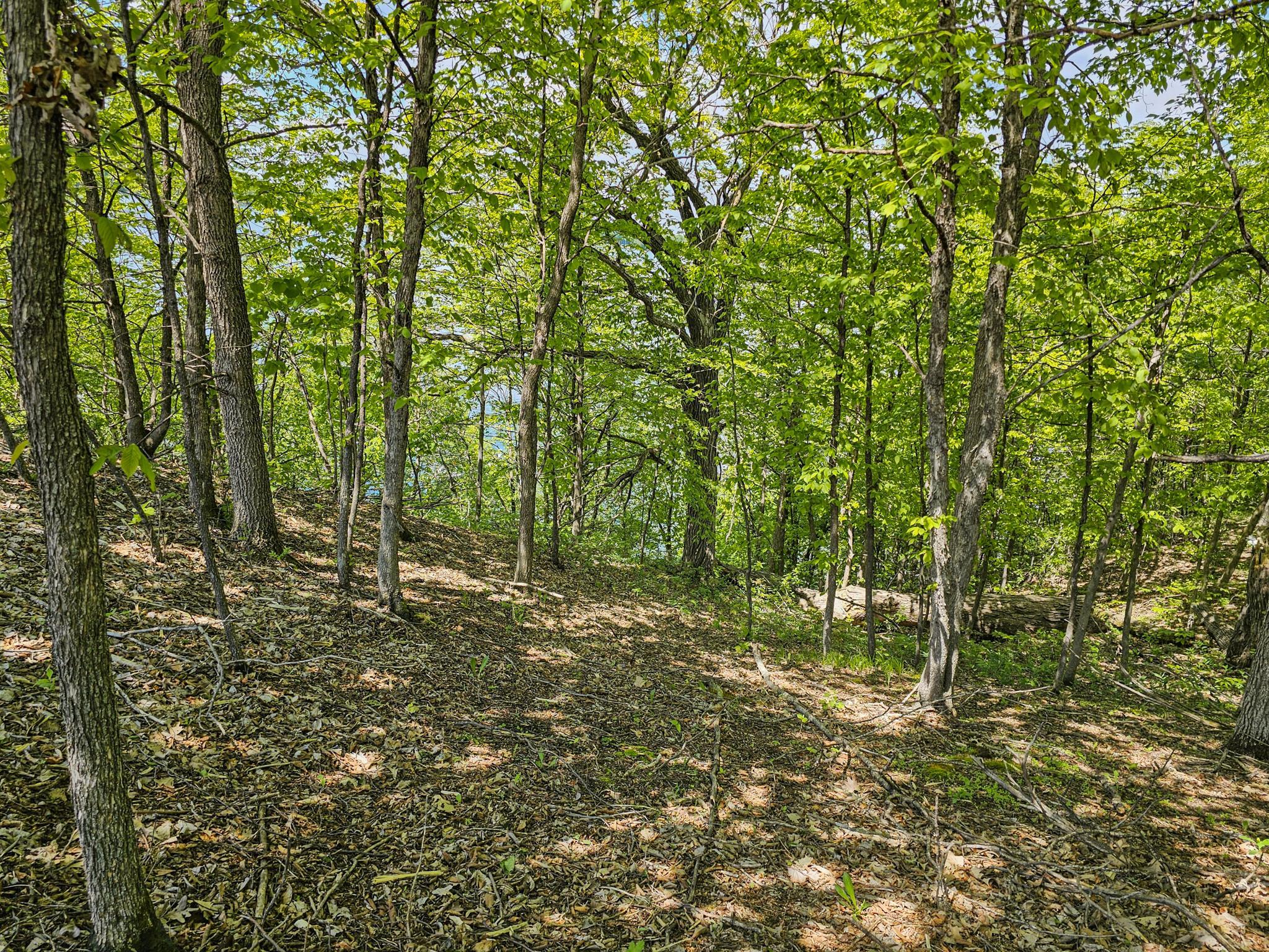 A4 452nd Street Vergas, MN 56587 - Photo 13 of 29