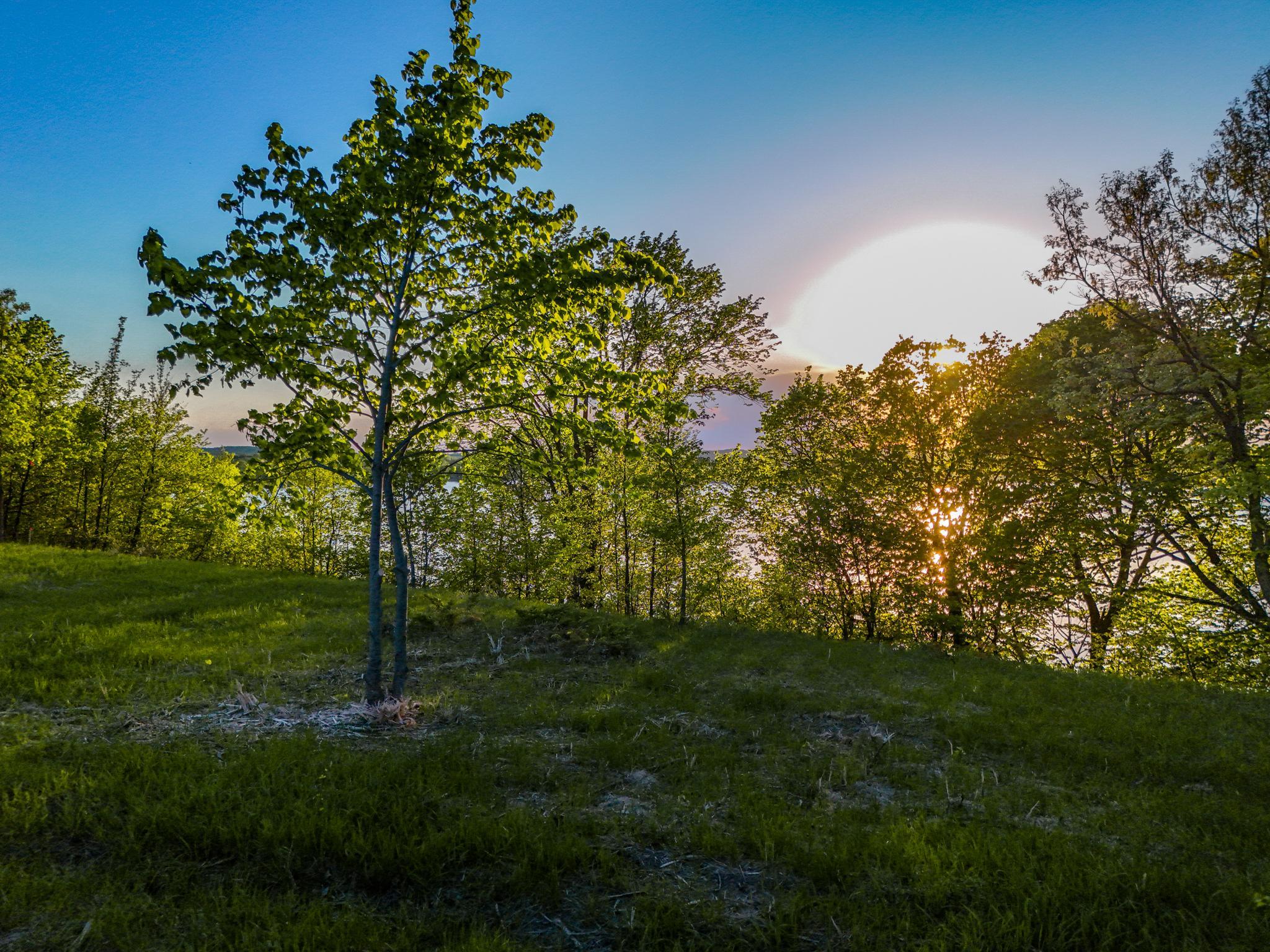 A4 452nd Street Vergas, MN 56587 - Photo 22 of 29