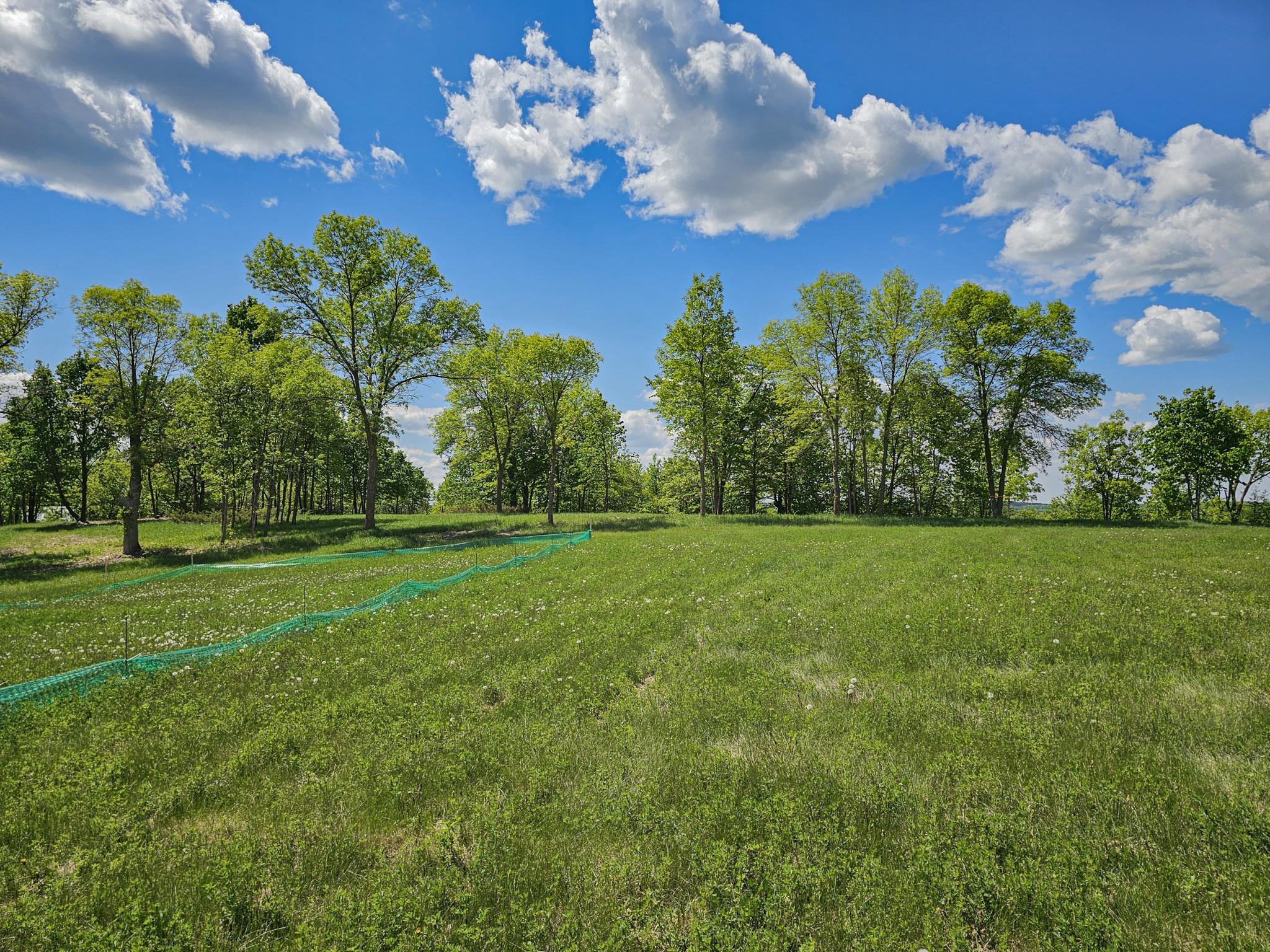 A4 452nd Street Vergas, MN 56587 - Photo 4 of 29