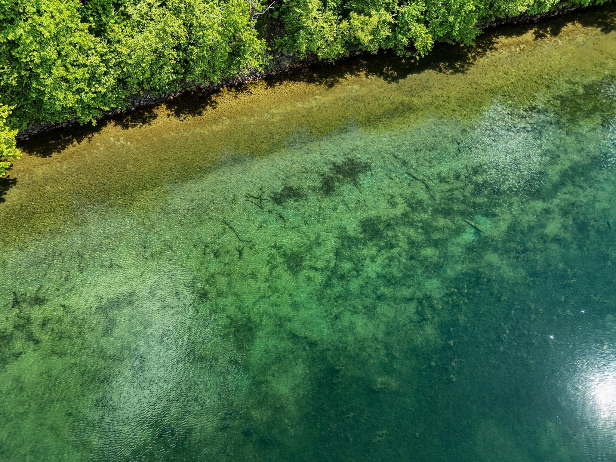 A4 452nd Street Vergas, MN 56587 - Photo 8 of 29