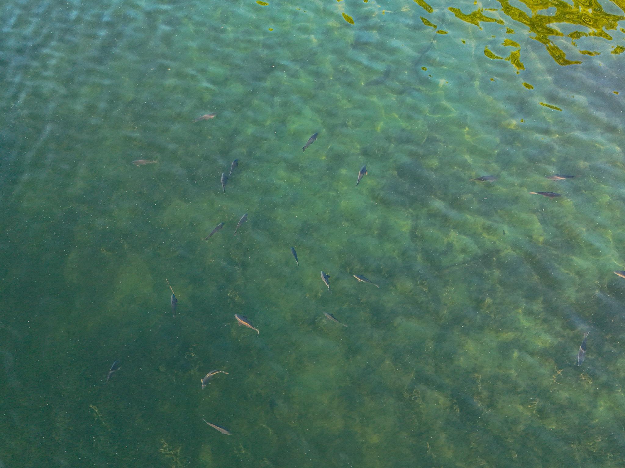 A4 452nd Street Vergas, MN 56587 - Photo 9 of 29