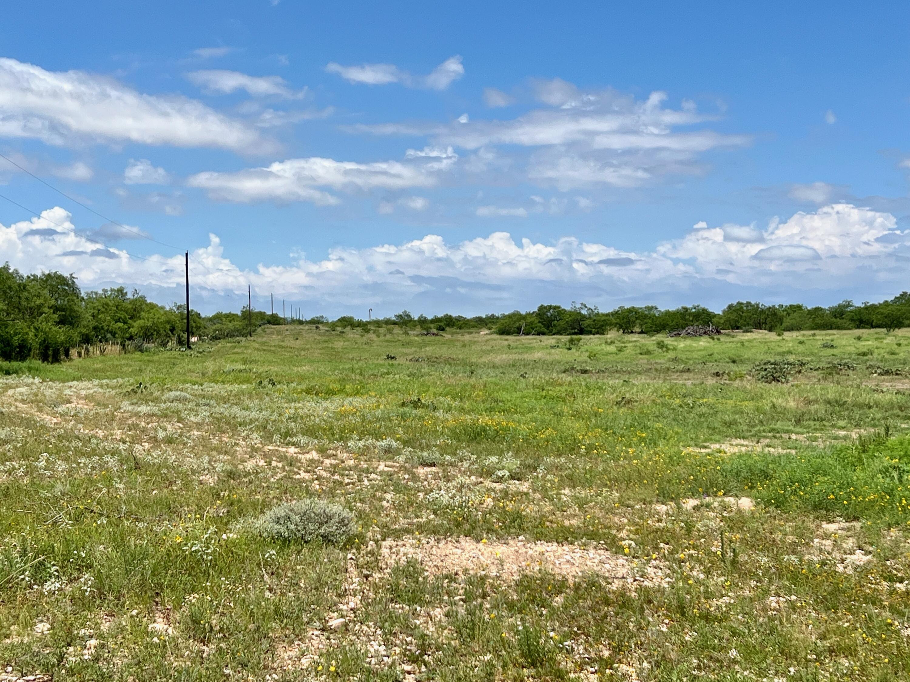 1818 County Road 267 Ballinger, TX 76821 - Photo 56 of 70 IMG_8602
