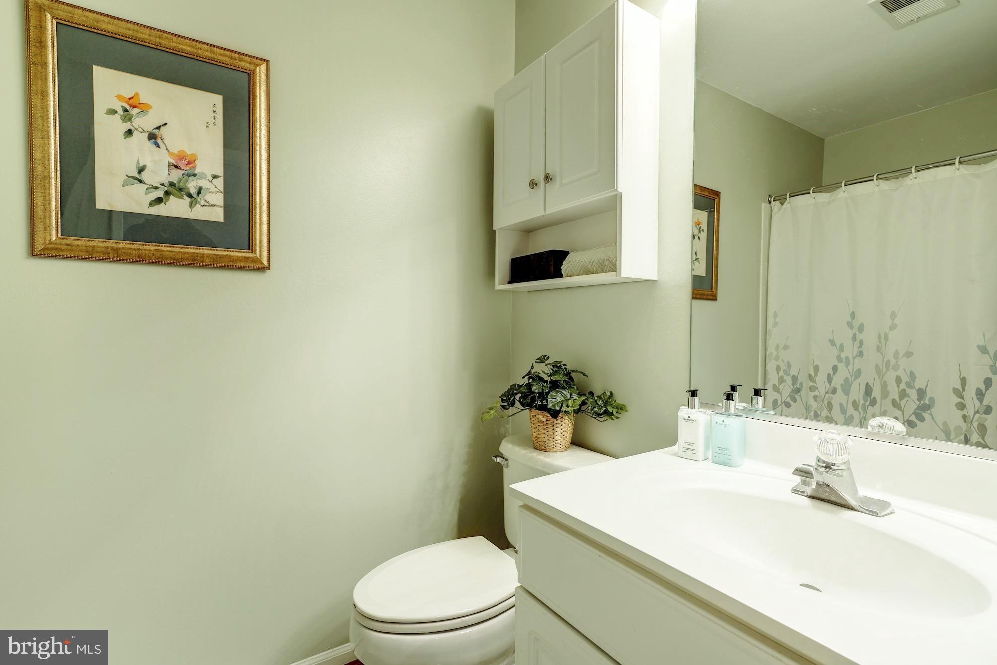 11516 Waterhaven Court Reston, VA 20190 - Photo 26 of 46 Updated Hall Full Bathroom with Shower Tub Combo