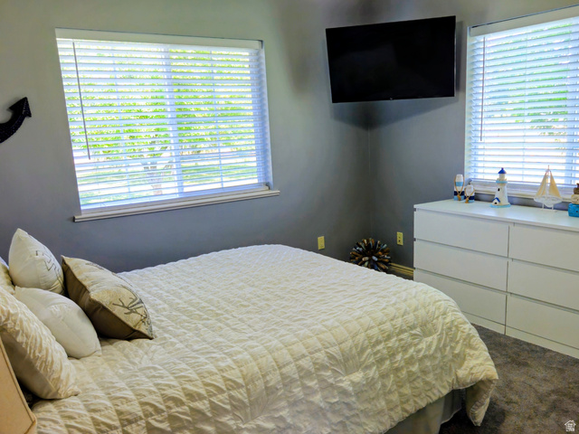 802 East 3200 Road North Preston, ID 83263 - Photo 39 of 59 Room featuring two windows with white blinds, wall-mounted television, and neutral-toned wall paint