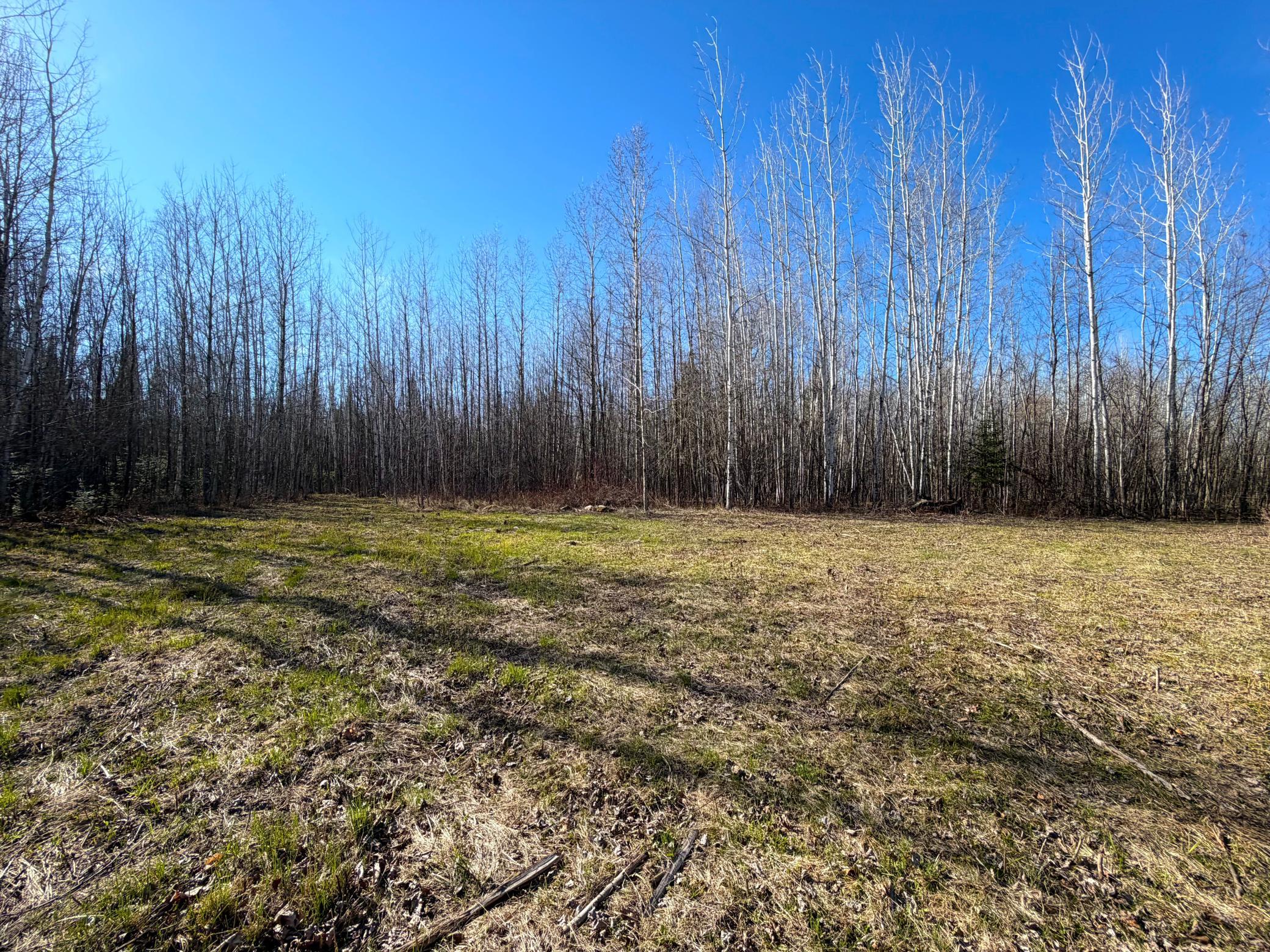 Lot F County Road 79 Littlefork, MN 56653 - Photo 16 of 44