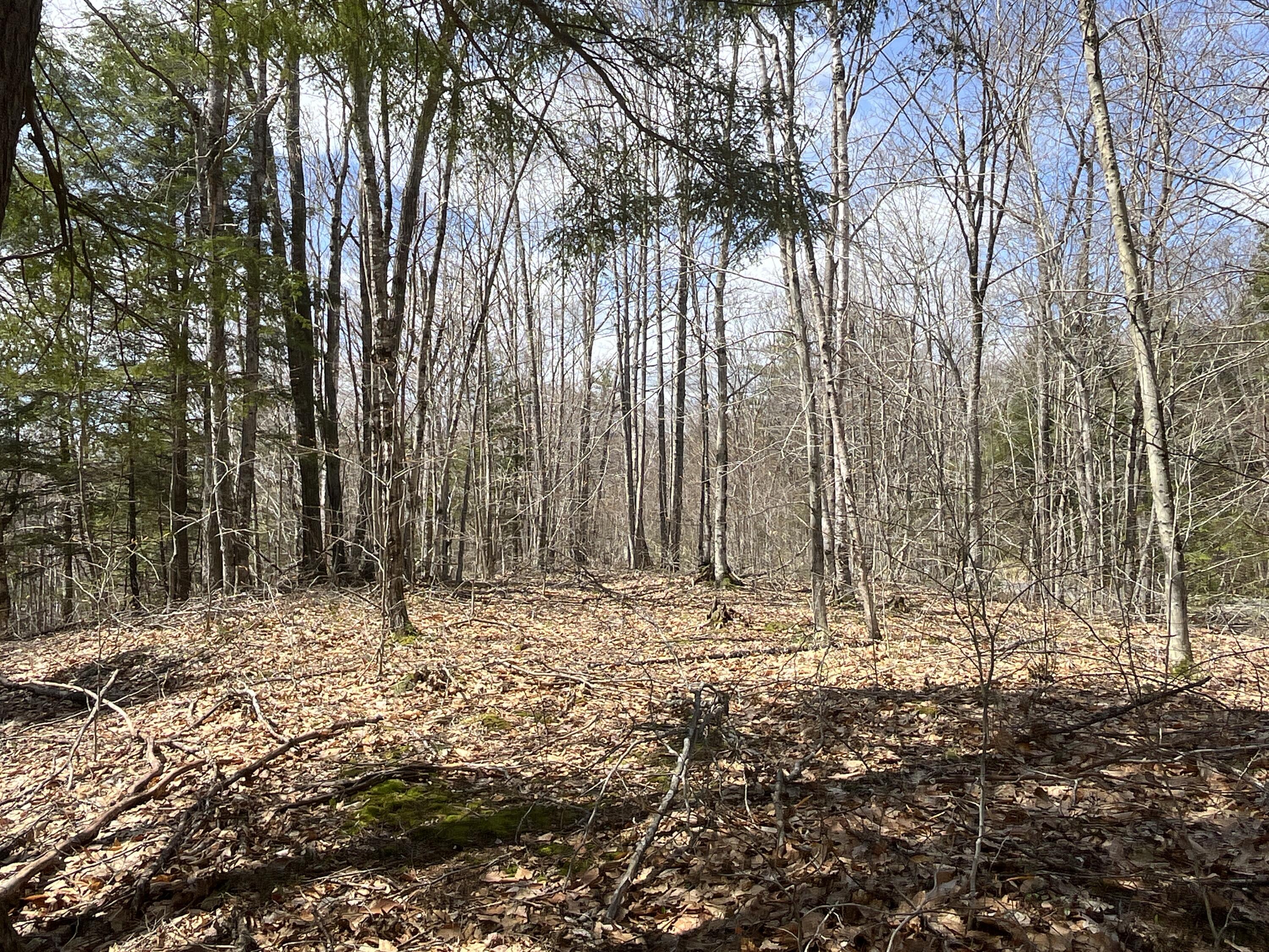 462 Sumner Road Hartford, ME 04220 - Photo 15 of 23 Terrain by road