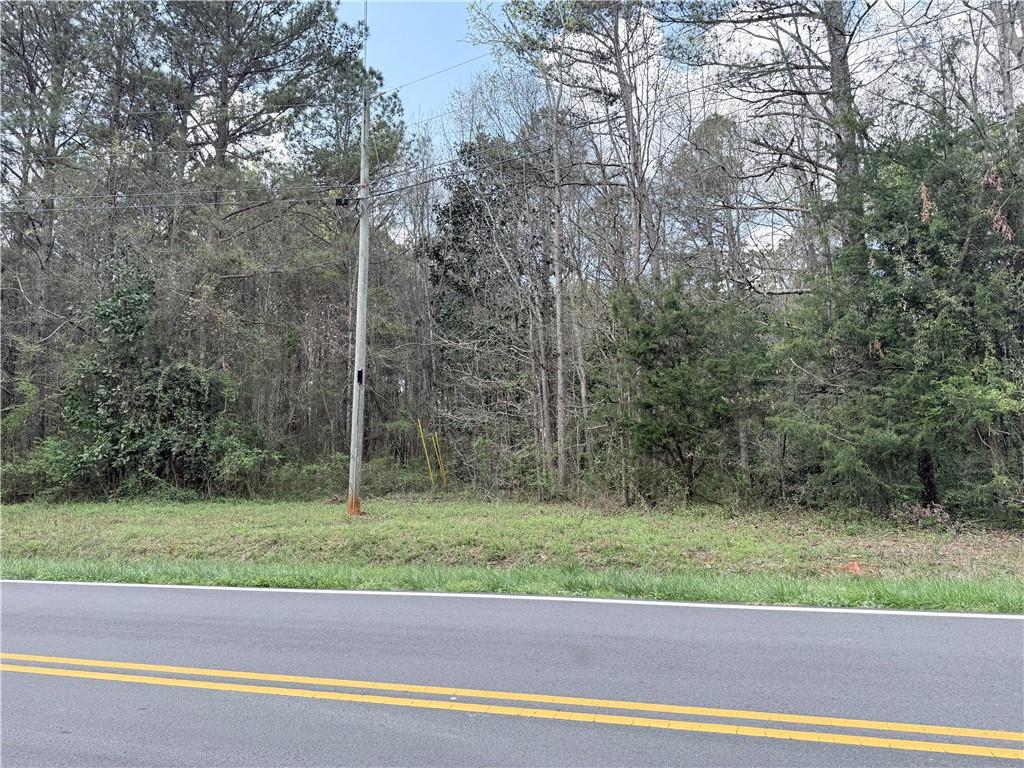 0 Old Columbus Road Bowdon, GA 30108 - Photo 3 of 9