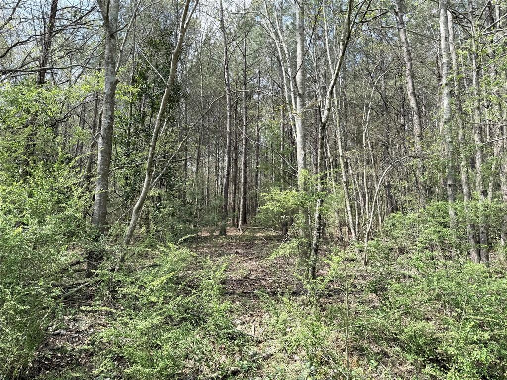 0 Old Columbus Road Bowdon, GA 30108 - Photo 5 of 9